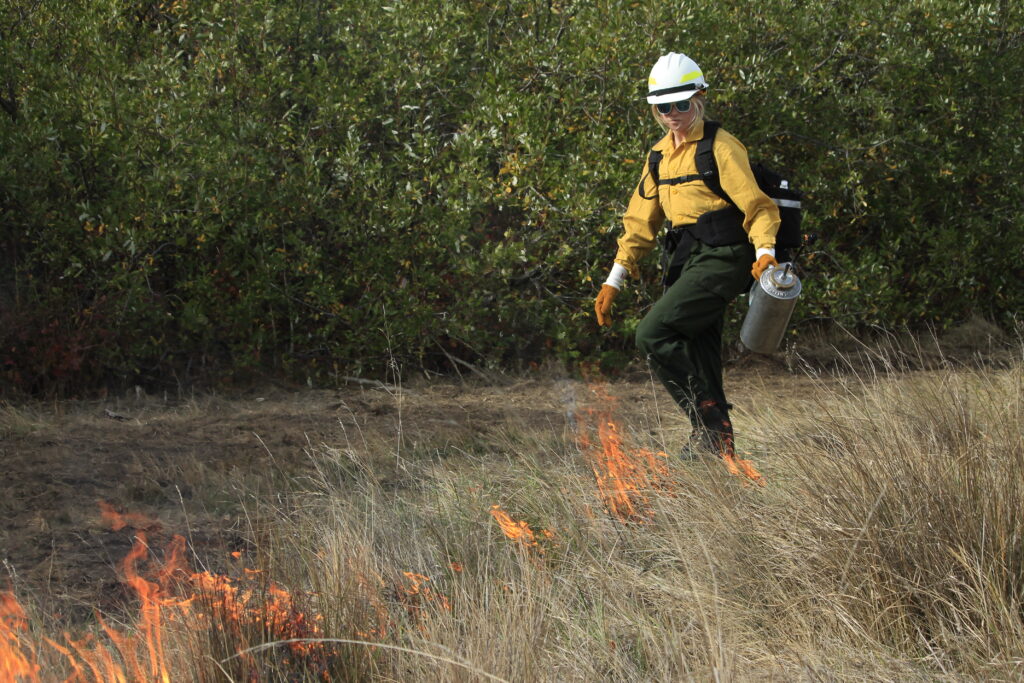 SLC Awarded State Coastal Conservancy Grant to Train Wildfire Workforce and Reduce Fuels